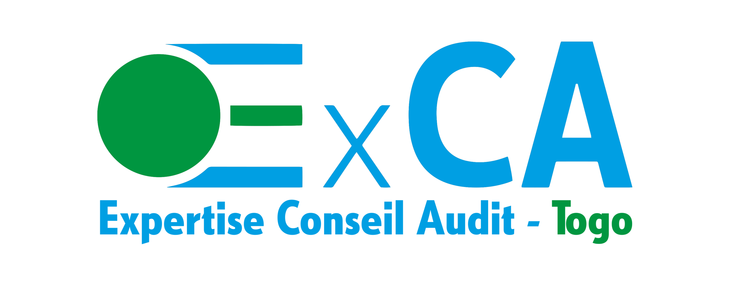 logo exca refait